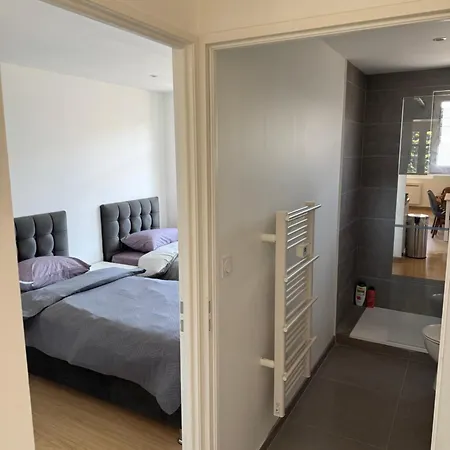 T2 Renove St-priest Centre Avec Parking Prive Apartment *