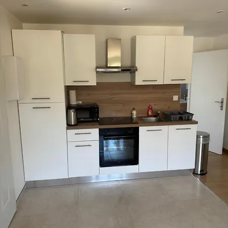 T2 Renove St-priest Centre Avec Parking Prive Apartment