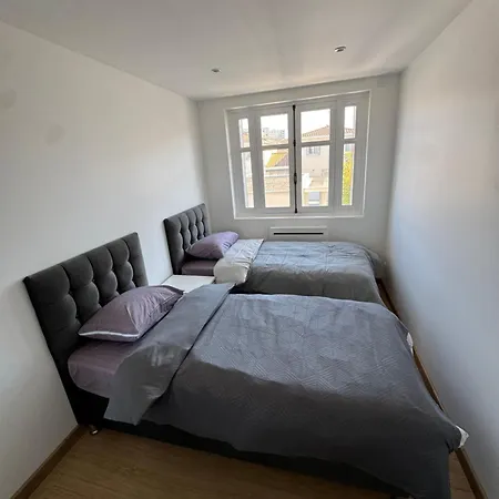 T2 Renove St-priest Centre Avec Parking Prive Apartment *